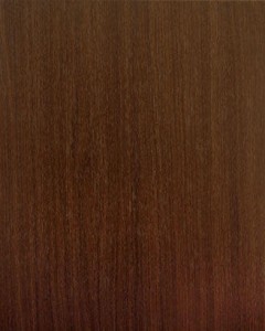 Medium Oak